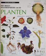 BEELDWOORDENBOEK-PLANTEN 9789065905765 Auteur, Boeken, Woordenboeken, Verzenden, Gelezen, Auteur