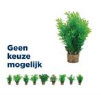 Zolux Ornament Pastic Plant Op Stenen Neutraal Assorti, Dieren en Toebehoren, Vissen | Aquaria en Toebehoren, Verzenden, Nieuw