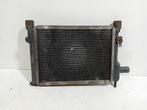 Radiateur Rover Mini  1300, Ophalen of Verzenden, Gebruikt, Rover