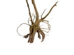 Driftwood Selected dw41 60x28x30cm (Small drift wood), Dieren en Toebehoren, Vissen | Aquaria en Toebehoren, Ophalen of Verzenden