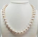 Zonder Minimumprijs - Halsketting 9x11,5 mm ronde witte, Sieraden, Tassen en Uiterlijk, Kettingen, Nieuw