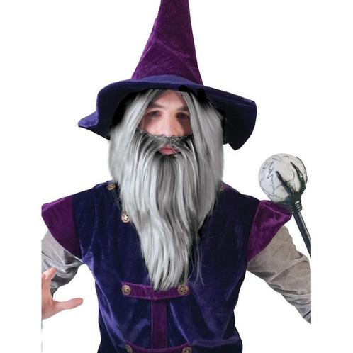 Grijze magier pruik met baard - Herenpruiken, Hobby en Vrije tijd, Feestartikelen, Ophalen of Verzenden