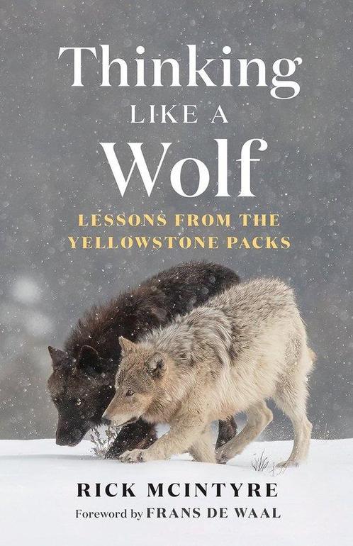 9781778401251 The Alpha Wolves of Yellowstone Series- Thi..., Boeken, Studieboeken en Cursussen, Nieuw, Verzenden