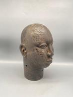 Tête-à-tête - Nigeria (Zonder Minimumprijs)