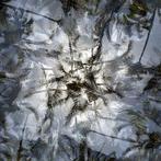 Ben Dauchez - An after noon at Majorelle, Antiek en Kunst