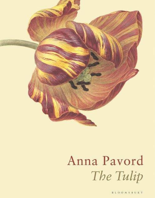 9781526602688 The Tulip The Story of a Flower That Has Ma..., Boeken, Economie, Management en Marketing, Nieuw, Verzenden