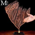 Prachtige Rode Gorgonia op hout en messing basis Taxidermie