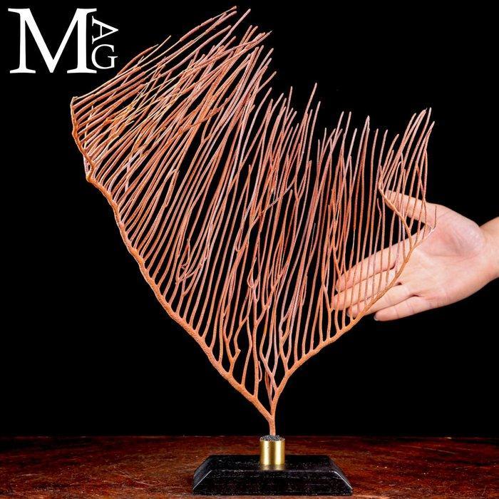 Prachtige Rode Gorgonia op hout en messing basis Taxidermie, Verzamelen, Mineralen en Fossielen