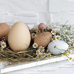 Ambiente Servetten Pastel Eggs, Diversen, Nieuw, Ophalen of Verzenden