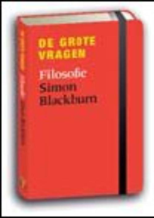 Filosofie / De grote vragen 9789085713296 Simon Blackburn, Boeken, Filosofie, Gelezen, Verzenden