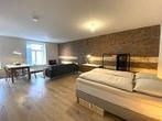Studio Rechtstraat in Maastricht, Overige soorten, Limburg