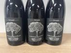 Domaine de Bellevue - Jerome Bretaudeau, Ornate Rouge 2019,, Verzamelen, Nieuw