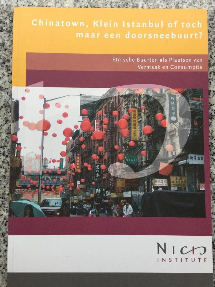 Chinatown, Klein Istanbul of toch maar een doorsneebuurt, Boeken, Geschiedenis | Stad en Regio, 20e eeuw of later, Nieuw, Verzenden