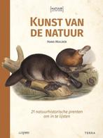 9789089899279 Natuur aan de muur - Kunst van de natuur, Verzenden, Zo goed als nieuw, Hans Mulder