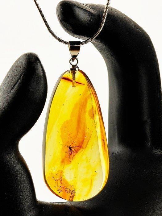 Museumkwaliteit Baltisch amberketting – mannelijke, Antiek en Kunst, Curiosa en Brocante