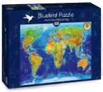 World Geo-Political Map Puzzel (1000 stukjes) | Bluebird