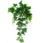 Hanger vuller Hedera Groene bladeren Groene hangplanten, Nieuw, Ophalen of Verzenden