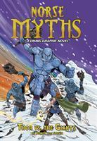 Norse Myths - A Viking Graphic Novel: Thor vs The Giants, Boeken, Zo goed als nieuw, Verzenden