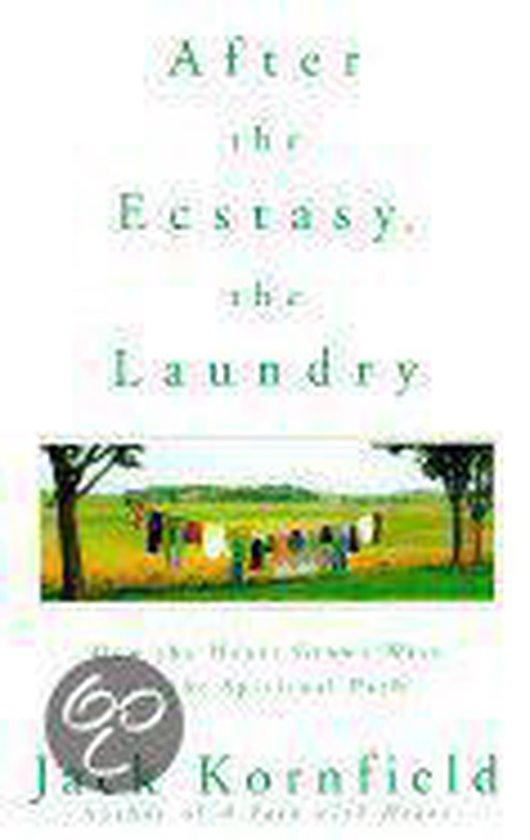 After the Ecstasy, the Laundry 9780553102901 Jack Kornfield, Boeken, Taal | Engels, Gelezen, Verzenden