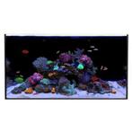 Waterbox ALL-IN-ONE 50.3 (los aquarium), Dieren en Toebehoren, Vissen | Aquaria en Toebehoren, Ophalen of Verzenden, Nieuw