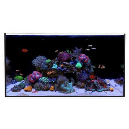 Waterbox ALL-IN-ONE 50.3 (los aquarium), Dieren en Toebehoren, Vissen | Aquaria en Toebehoren, Ophalen of Verzenden