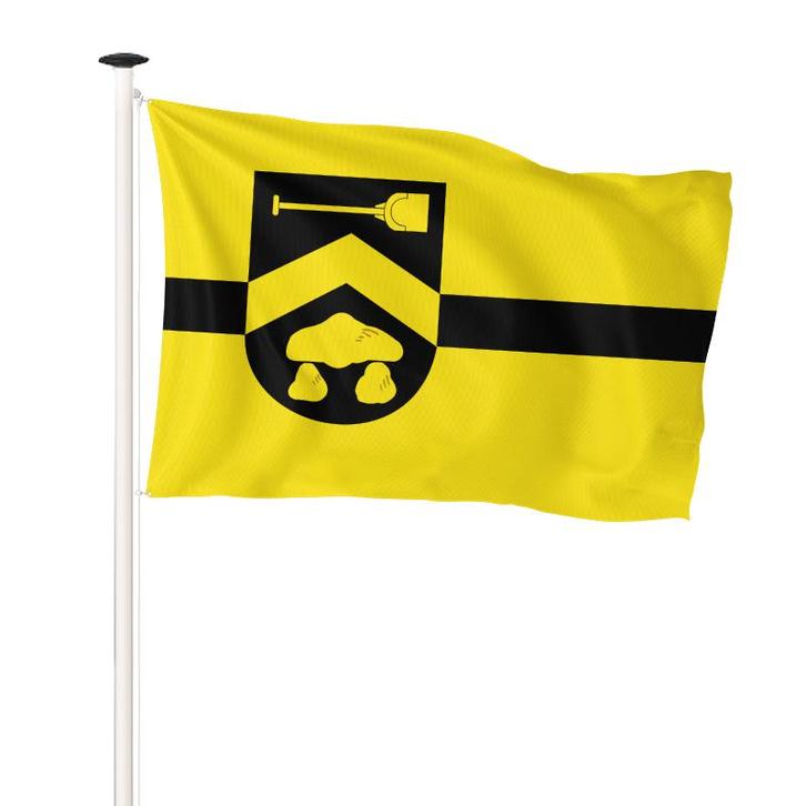 Vlag Borger-Odoorn 100x150cm (voor gevelstok), Diversen, Vlaggen en Wimpels, Nieuw