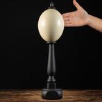 Ostrich Egg - Handgemaakte standaard van donker hout Ei -