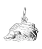 Zilveren Egel bewerkt kettinghanger, Sieraden, Tassen en Uiterlijk, Verzenden, Nieuw