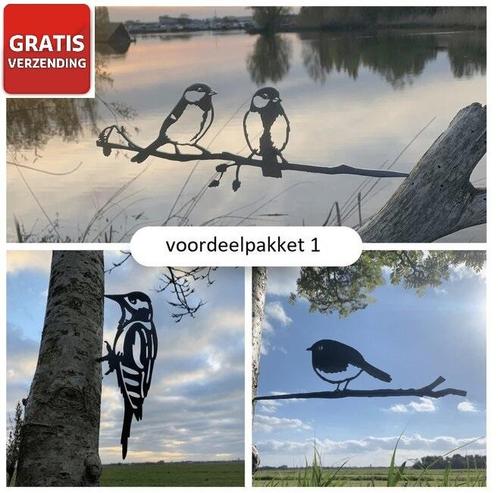 Tuindecoratie voordeelpakket van metalen vogels, Tuin en Terras, Tuinwanddecoratie, Verzenden