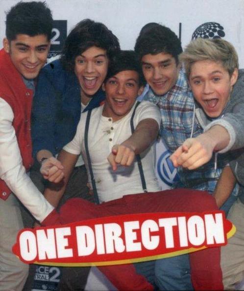 One Direction, Boeken, Overige Boeken, Ophalen of Verzenden