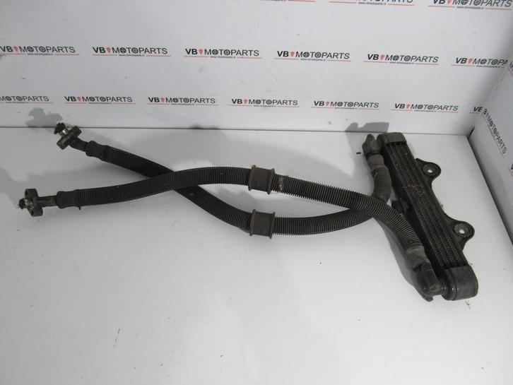 Honda CB 900 Bol DOr Radiateur olie koeling, Motoren, Onderdelen | Honda, Ophalen of Verzenden