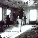 cd - Pilgrim Souls - Is This All Of Us?, Zo goed als nieuw, Verzenden