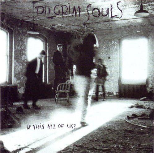 cd - Pilgrim Souls - Is This All Of Us?, Cd's en Dvd's, Cd's | Overige Cd's, Zo goed als nieuw, Verzenden
