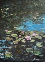 Massera Ilaria - ninfee