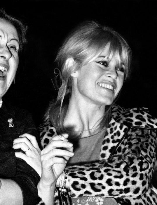 Daniel Cande - Brigitte Bardot, Antiek en Kunst, Kunst | Designobjecten