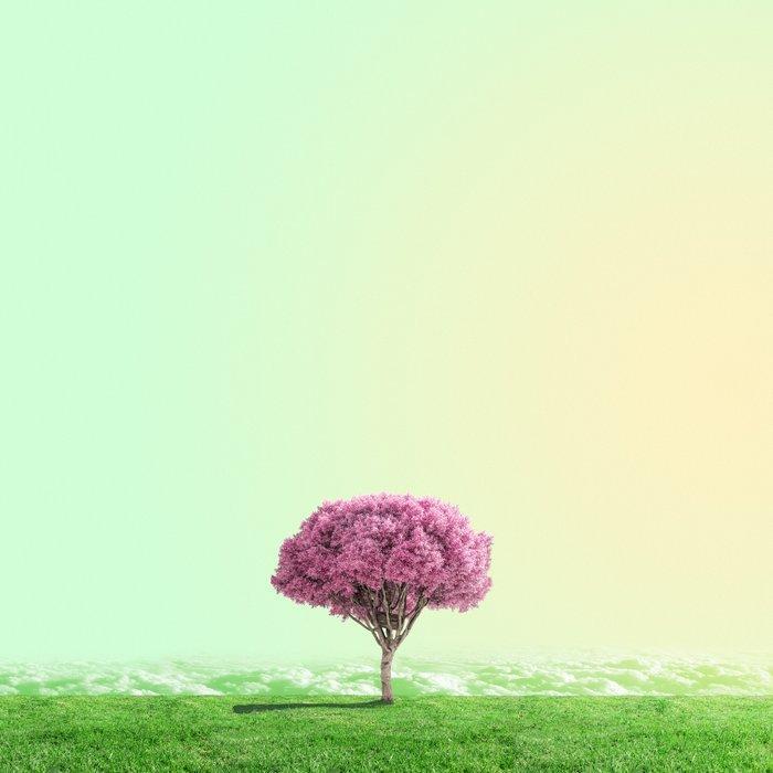 Téber - High Society (Apple), Antiek en Kunst, Kunst | Designobjecten