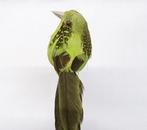 Vogeltjes Lentegroen lowbudget 12 stuks, Hobby en Vrije tijd, Knutselen, Ophalen of Verzenden, Nieuw