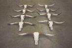 SCHEDEL LONGHORN ECHTE LONGHORN/GEWEI/ BUFFEL SCHEDELS, Verzamelen, Dierenverzamelingen, Ophalen, Nieuw, Overige soorten, Schedel