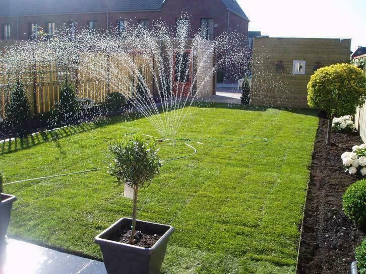 Graszoden afhalen, bezorgen laten aanleggen: beoordeling 9,0, Tuin en Terras, Gras en Kunstgras, Gras, Nieuw, Ophalen of Verzenden