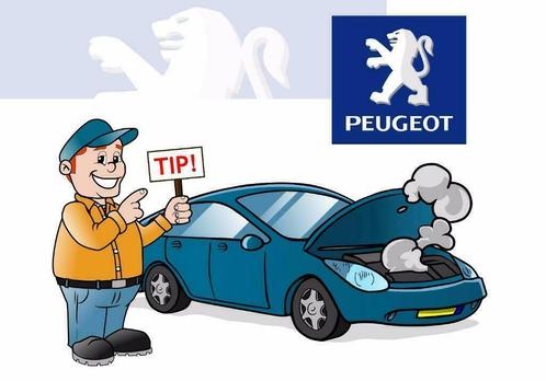Peugeot: Bekijk  OBD / OBD2 systemen bij Smeets Solutions, Auto diversen, Overige Auto diversen, Verzenden