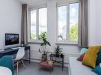 Studio Bassin in Maastricht, Overige soorten, Limburg
