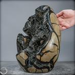 Natuurlijke septarien vrije vorm met calcietkristallen