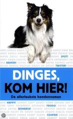 Dinges, kom hier 9789052108360 Judith Lissenberg, Boeken, Gelezen, Verzenden, Judith Lissenberg