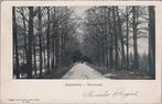 WARNSVELD - Kapperallée, Verzenden, Gelopen