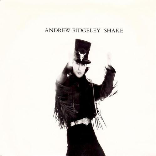 Single - Andrew Ridgeley - Shake, Cd's en Dvd's, Vinyl | Pop, Verzenden