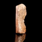 Babylonisch Terracotta plaquette van een naakte vrouwelijke