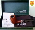 BREBBIA - Pijp - Bruyere, Verzamelen, Nieuw