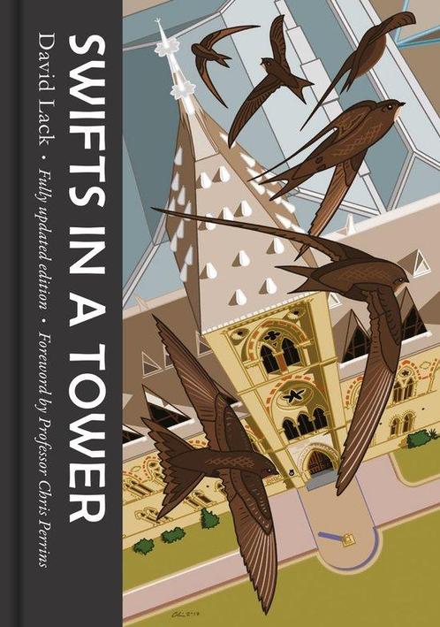 9781911604365 Swifts in a Tower David Lack, Boeken, Studieboeken en Cursussen, Nieuw, Verzenden