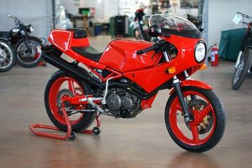 Gilera - Saturno Bialbero - 500 cc - 1988 beschikbaar voor biedingen