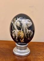 GROOT 5- Ei - Struthio Camelus - 230 mm - 130 mm - 130 mm-, Nieuw